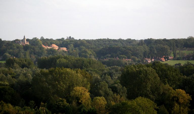 View of Aldermaston village | Peter Oldridge